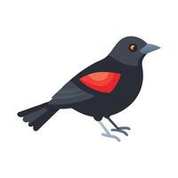 Red Winged Blackbird Icon with Flat Design vector