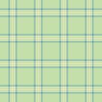 Soft pastel green and blue plaid pattern. Ideal for textile design, website backgrounds, or crafting projects. This calming, minimalist design evokes feelings of serenity and simplicity. vector
