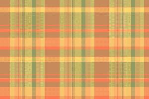 Warm and inviting plaid pattern. Perfect for backgrounds, textiles, or adding a touch of rustic charm to your designs. Use for fall, winter, or cozy projects. vector