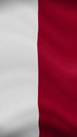Poland Waving Flag in Vertical Orientation. Realistic Flag Animation. Seamless Loop Background. video