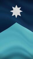 Minnesota State Waving Flag in Vertical Orientation. Realistic Flag Animation. Seamless Loop Background. video