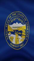 Nebraska State Waving Flag in Vertical Orientation. Realistic Flag Animation. Seamless Loop Background. video