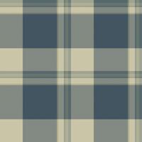 Elegant muted blue and beige plaid pattern. Perfect for textile design, apparel, websites, and branding. This classic check evokes feelings of comfort, sophistication, and rustic charm. vector