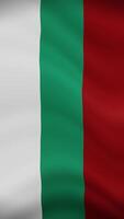 Bulgaria Waving Flag in Vertical Orientation. Realistic Flag Animation. Seamless Loop Background. video