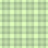 Calming green plaid pattern, seamless. Soft and versatile, great for backgrounds, textiles, digital art, or adding a touch of nature. vector