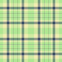 Elegant plaid pattern with soothing hues. Green backdrop with creamy dark lines. Excellent for backgrounds, textiles, and vibrant graphic designs. vector