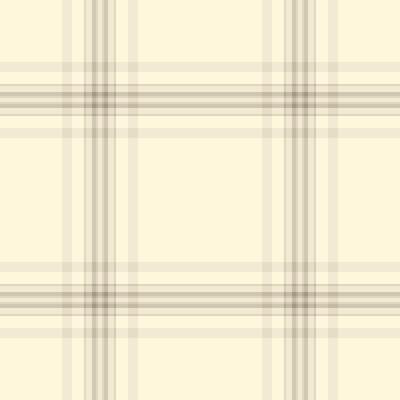 Overlay check texture, picnic plaid seamless tartan. Ethnicity background pattern fabric textile in light and cornsilk colors.