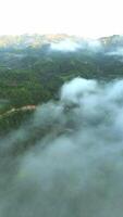 Aerial View of Mountains with Fog. video