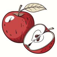 Sliced Red Apple vector