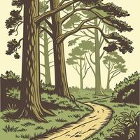Serene Forest Pathway with Tall Trees vector