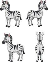 Zebra illustration set for t-shirt and cup print projects with animal design elements vector