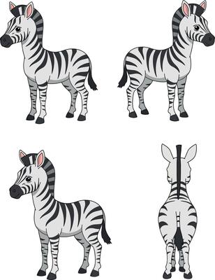 Zebra illustration set for t-shirt and cup print projects with animal design elements