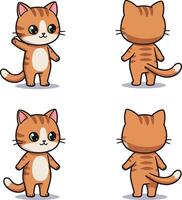 Cute orange tabby cat cartoon front and back view illustration for tshirt printing projects vector