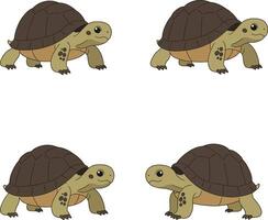 Turtle illustrations for t-shirt printing and creative projects design elements vector