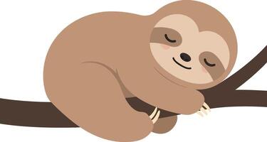 Sleeping sloth resting on tree branch illustration for t-shirt printing and projects vector