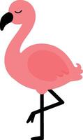 Flamingo bird illustration for t-shirt printing and creative design projects vector