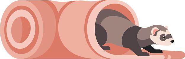 Ferret crawling out of tunnel illustration ideal for t-shirt printing and projects vector