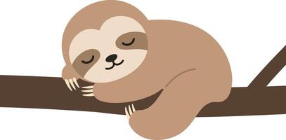 Sleeping sloth on tree branch illustration for t-shirt printing and cozy design projects vector