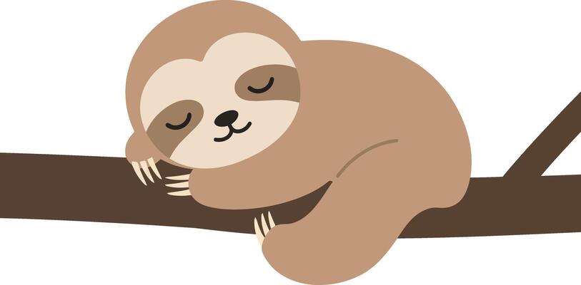 Sleeping sloth on tree branch illustration for t-shirt printing and cozy design projects