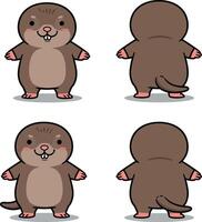 Cartoon mole animal front and back view illustrations for tshirt and print projects vector