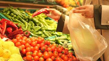 Choosing fresh tomatoes and peppers at a local market in autumn video