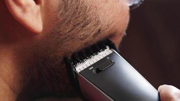 Grooming a short beard with clippers in a cozy salon setting video