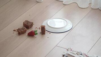 Cake crumbs and a fallen plate on the floor in a cozy room video