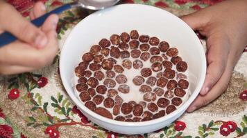 Enjoying breakfast with chocolate cereal and milk in a cozy setting video