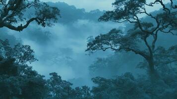 Ethereal Forest A Misty Canopy of Trees in Dreamy Blue Hues photo