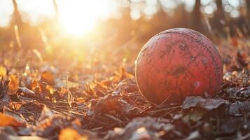 Lost Ball in Golden Hour A Childhood Memory Sunlight on Fallen Leaves photo