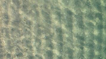 overhead drone aerial view of the shore of a beach with transparent turquoise water video