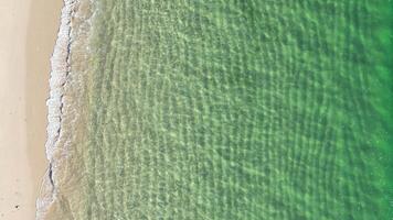zenithal aerial view with drone of the shore of a beach with transparent turquoise water video