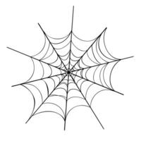 Spider web illustration - creepy spider web pattern for horror backgrounds decorations, spooky designs, haunted house themes, biological visuals and abstract concepts on spider web theme vector