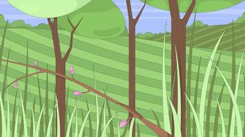 Spring grassland landscape with bud branch and trees 2D cartoon animation. Tall grasses, rolling hills. Springtime field. Summer nature animated flat backdrop 4K background scene storytelling video