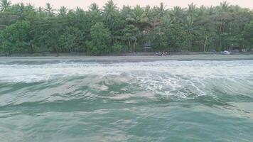 Breathtaking Beach Scene Capturing Waves and Lush Greenery in a Serene Tropical Setting video