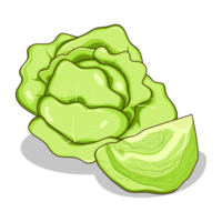 Cartoon Ripe Cabbage with Half Slice Cabbage in transparent background png