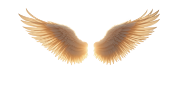 Majestic wings with soft gradient create stunning visual against transparent background, evoking sense of freedom and beauty. delicate feathers enhance ethereal quality of image. png