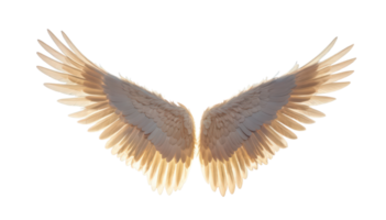Majestic wings with transparent background create stunning visual effect that evokes sense of freedom and beauty. delicate feathers shimmer in soft light, enhancing their ethereal quality. png