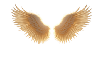 Golden wings with transparent background create stunning visual that evokes sense of freedom and beauty. intricate details of each feather enhance overall elegance. png