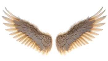 Majestic wings with transparent background create stunning visual effect that evokes sense of freedom and beauty. intricate details of each feather enhance overall elegance. png