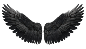 Majestic black wings spread wide with transparent background create stunning visual. intricate details of each feather evoke sense of freedom and elegance. png