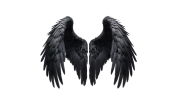 Majestic wings with transparent background create stunning visual effect that captivates viewer. intricate details and textures of feathers enhance beauty of this artwork. png