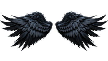 Dark feathered wings with intricate details, displayed symmetrically on transparent background, evoking sense of mystery and elegance. png