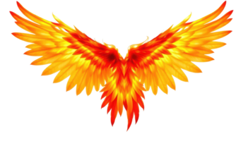 stunning wing design featuring vibrant colors of red and yellow, creating transparent background that enhances its beauty and elegance. This artwork symbolizes freedom and strength. png
