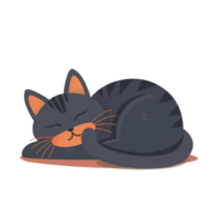 cute gray cat peacefully sleeping curled up on transparent background, showcasing its orange whiskers and soft fur. relaxed pose conveys calmness and comfort. png