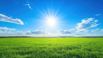 Radiant Green Field Under Bright Blue Sky with Clouds A Sunny Days Delight photo