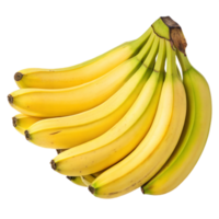 Bunch of Ripe Yellow Cavendish Bananas on Transparent Background png