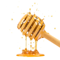 A honey dripping from a wooden stick isolated on transparent background png