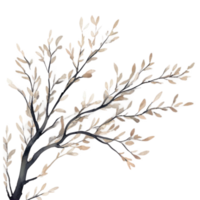 Delicate watercolor branches, soft and flowing, capturing the graceful curve of tree limbs with gentle blending of earthy tones. png