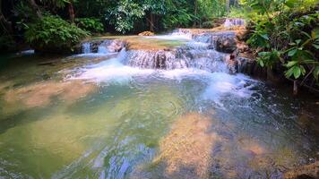 Serene Forest Pool with Cascading Falls video